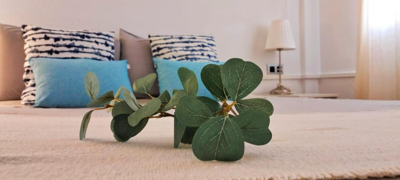 Apartament Verdemare Corralejo